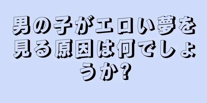 男の子がエロい夢を見る原因は何でしょうか?