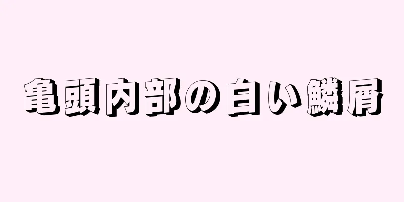 亀頭内部の白い鱗屑