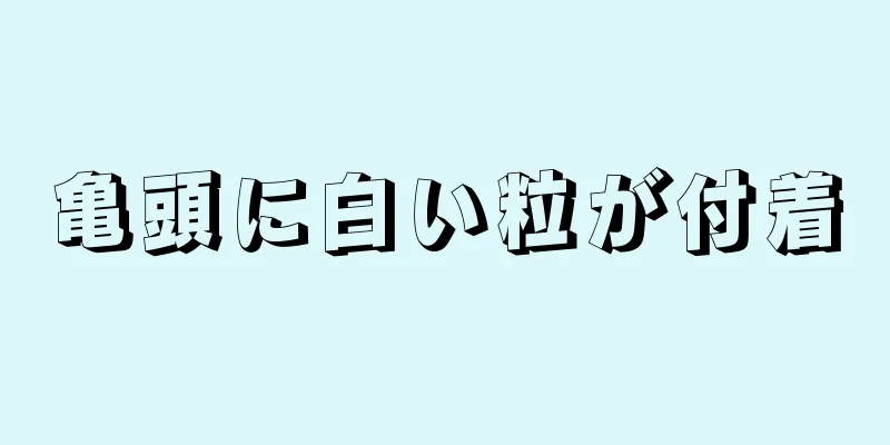 亀頭に白い粒が付着