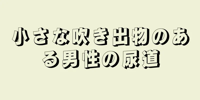 小さな吹き出物のある男性の尿道