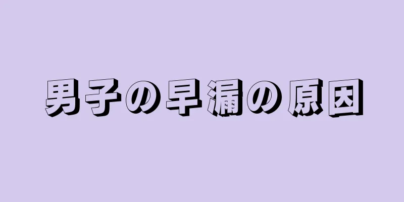 男子の早漏の原因