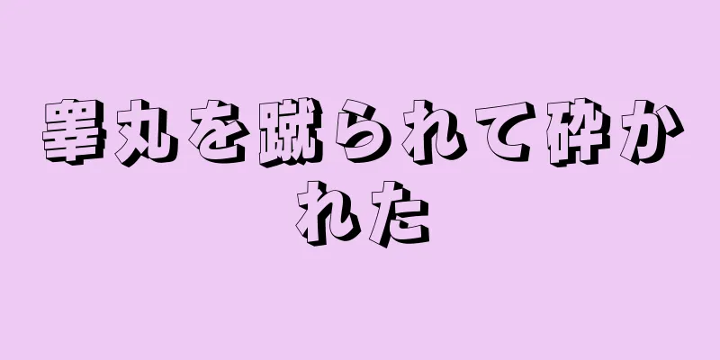 睾丸を蹴られて砕かれた