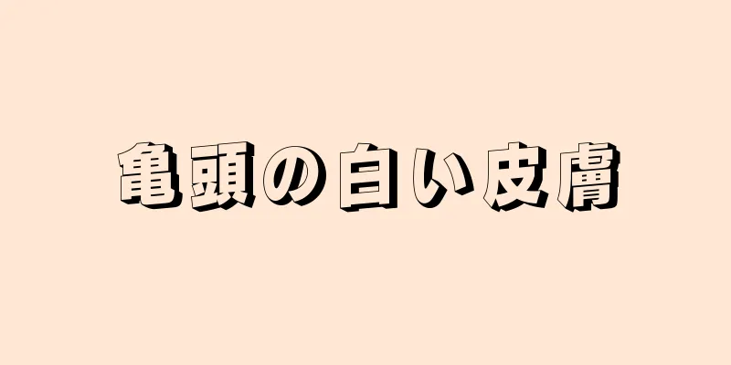 亀頭の白い皮膚