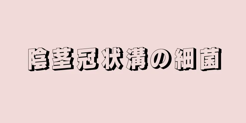 陰茎冠状溝の細菌