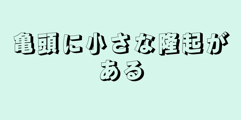 亀頭に小さな隆起がある