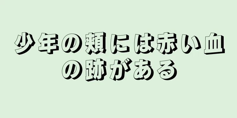 少年の頬には赤い血の跡がある