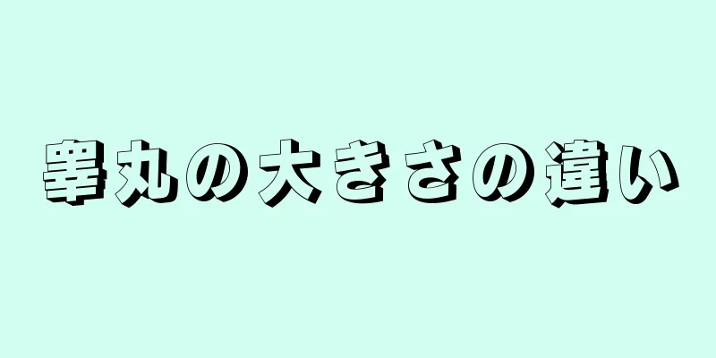 睾丸の大きさの違い