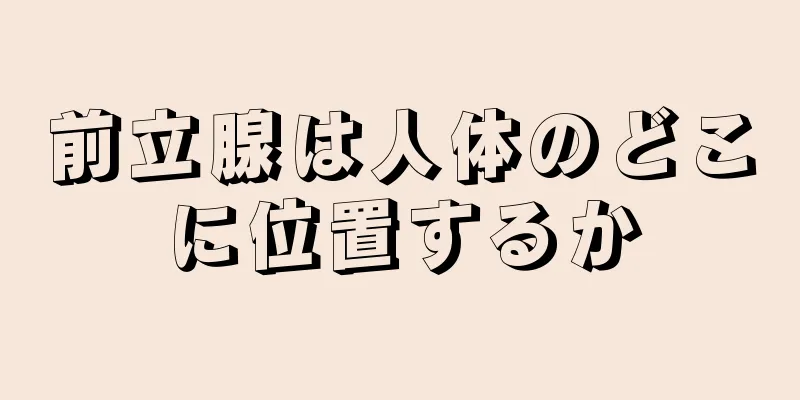 前立腺は人体のどこに位置するか