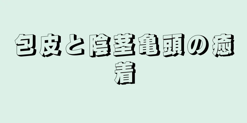 包皮と陰茎亀頭の癒着