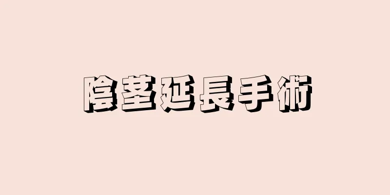 陰茎延長手術
