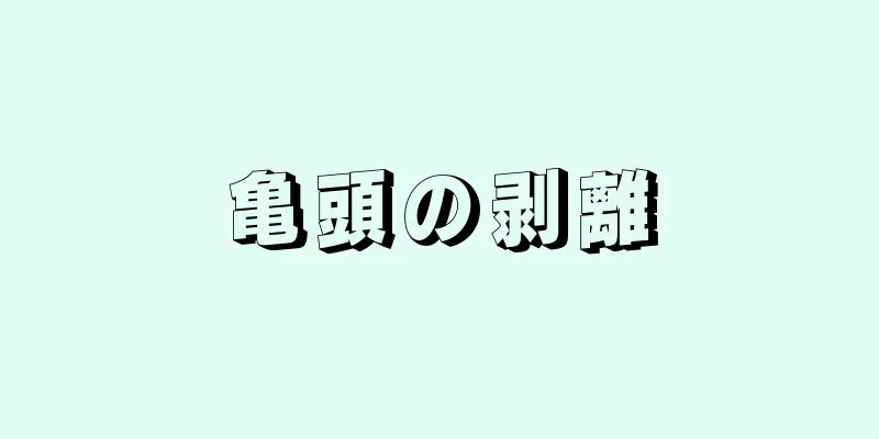 亀頭の剥離