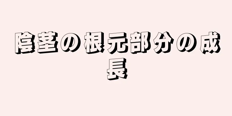 陰茎の根元部分の成長