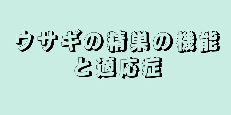 ウサギの精巣の機能と適応症