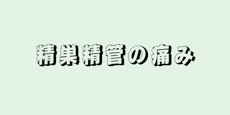 精巣精管の痛み