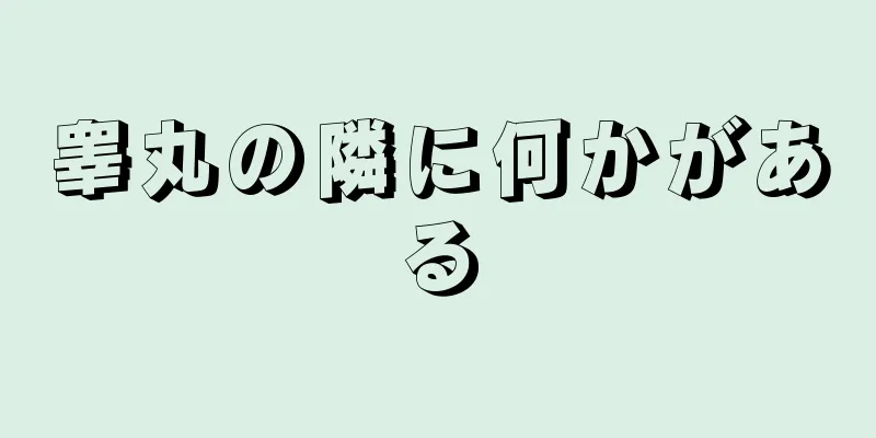 睾丸の隣に何かがある