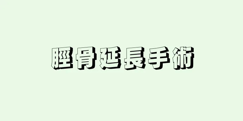 脛骨延長手術