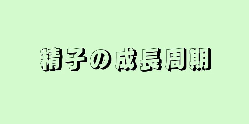 精子の成長周期
