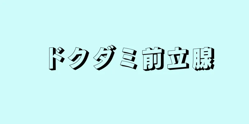 ドクダミ前立腺