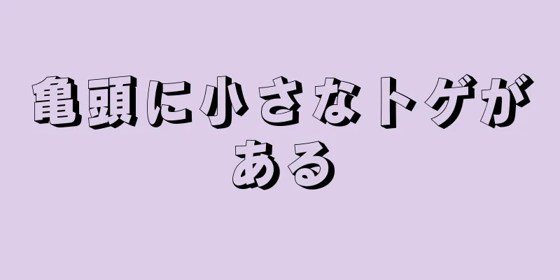 亀頭に小さなトゲがある