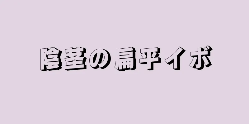 陰茎の扁平イボ