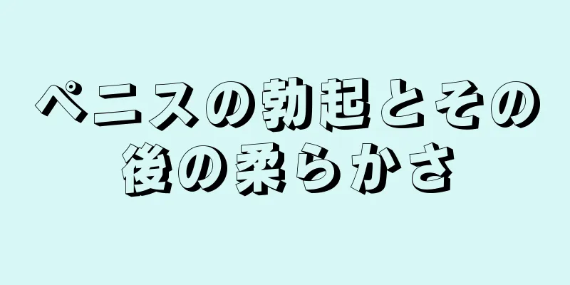 ペニスの勃起とその後の柔らかさ