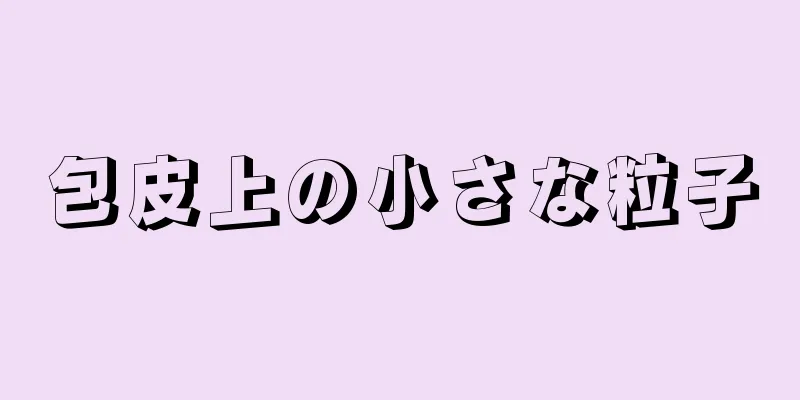 包皮上の小さな粒子