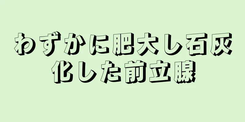 わずかに肥大し石灰化した前立腺