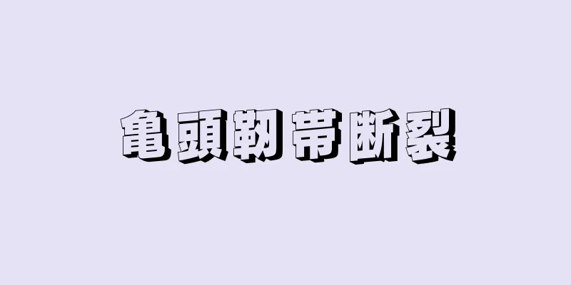 亀頭靭帯断裂