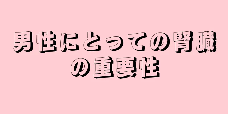 男性にとっての腎臓の重要性