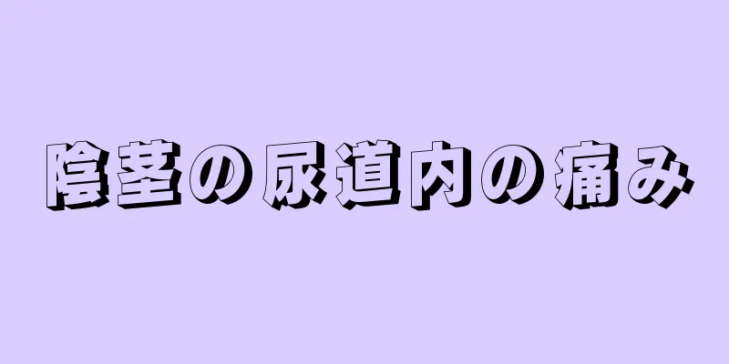 陰茎の尿道内の痛み