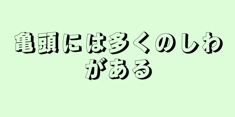 亀頭には多くのしわがある