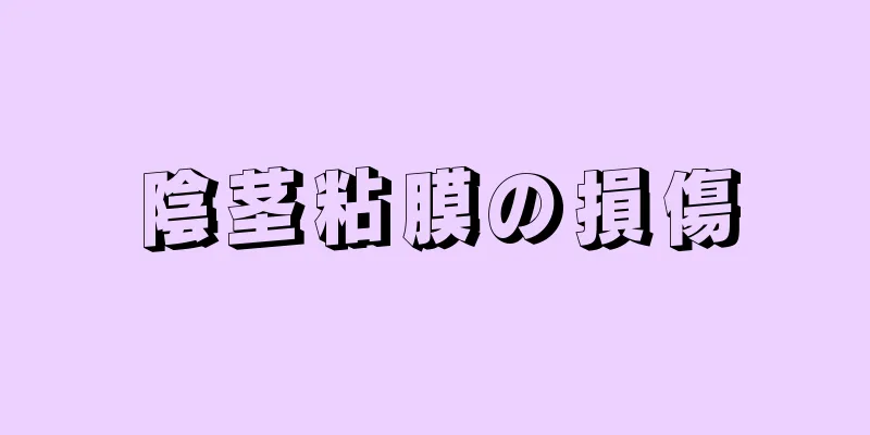 陰茎粘膜の損傷