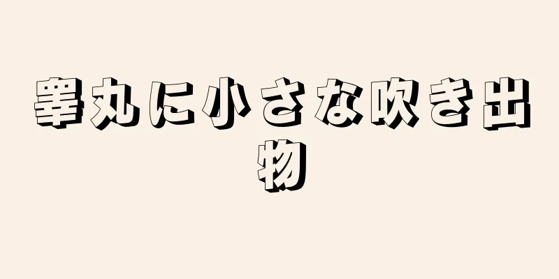 睾丸に小さな吹き出物