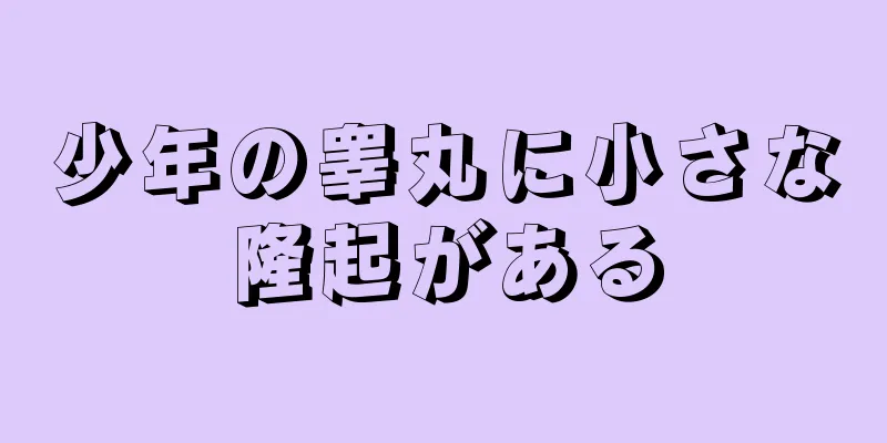 少年の睾丸に小さな隆起がある