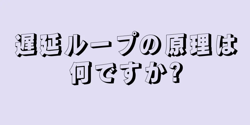 遅延ループの原理は何ですか?
