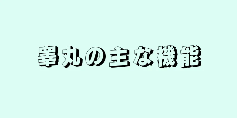 睾丸の主な機能
