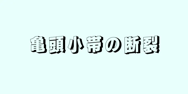 亀頭小帯の断裂