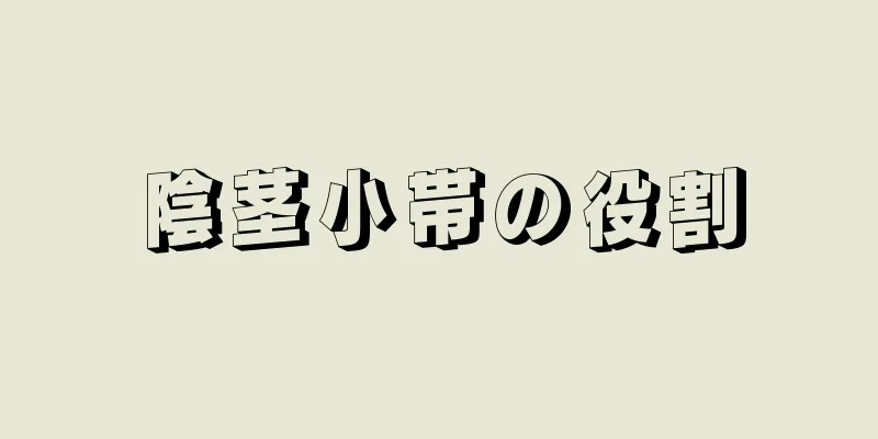 陰茎小帯の役割