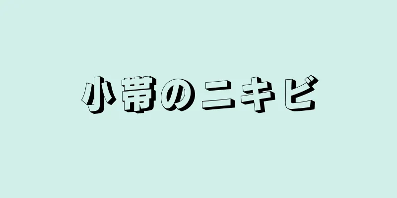 小帯のニキビ