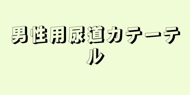 男性用尿道カテーテル