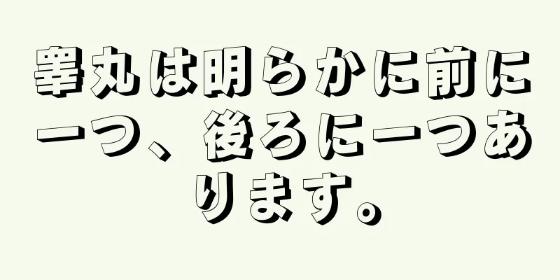 睾丸は明らかに前に一つ、後ろに一つあります。
