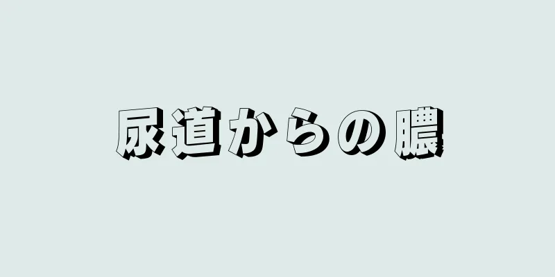 尿道からの膿