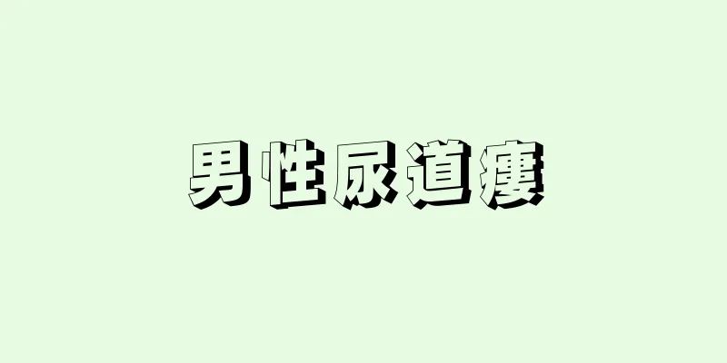 男性尿道瘻