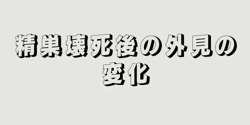 精巣壊死後の外見の変化