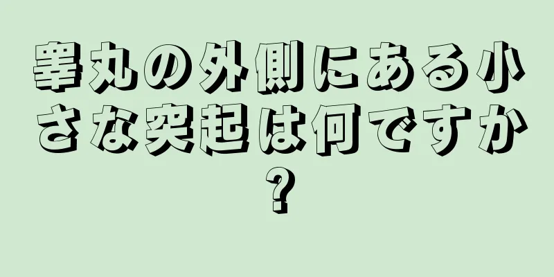 睾丸の外側にある小さな突起は何ですか?