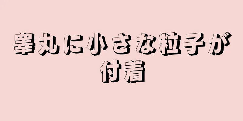 睾丸に小さな粒子が付着