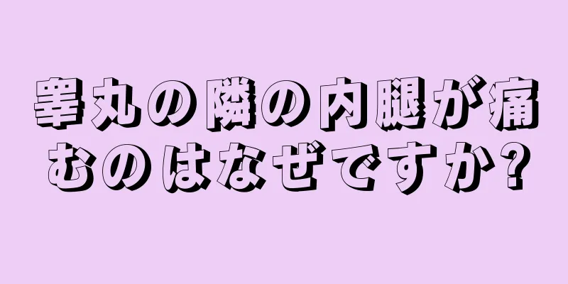 睾丸の隣の内腿が痛むのはなぜですか?