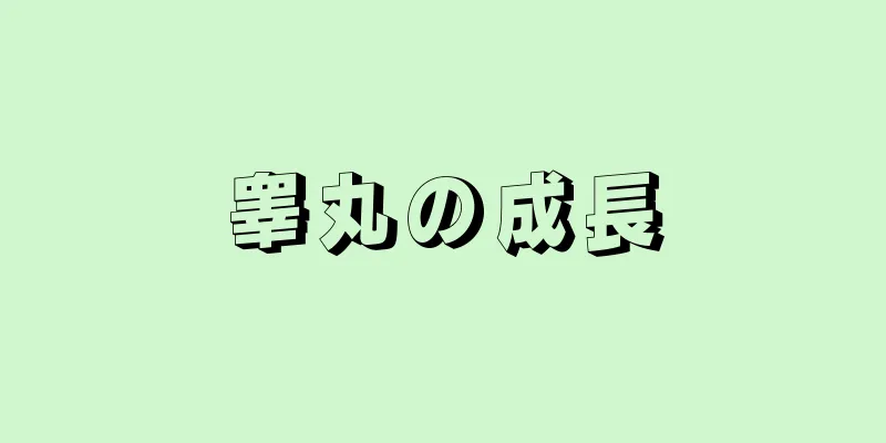 睾丸の成長