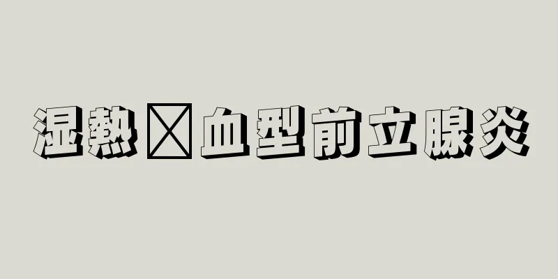 湿熱瘀血型前立腺炎