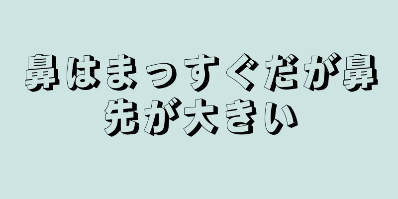 鼻はまっすぐだが鼻先が大きい